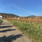 Lägenhet Suedpfalzblick *