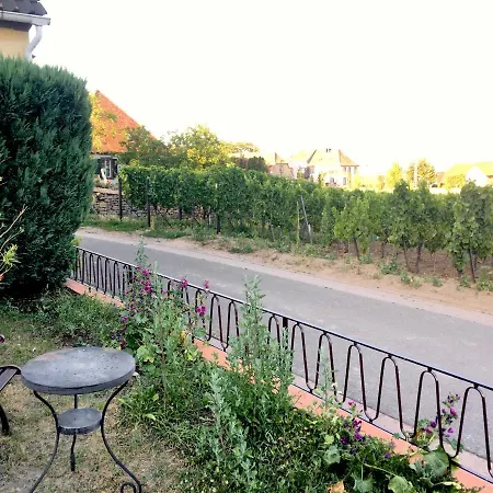 Apartment Suedpfalzblick
