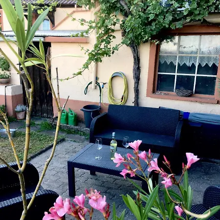 Suedpfalzblick * Burrweiler