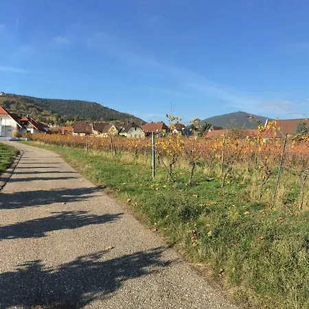 Διαμέρισμα Suedpfalzblick *