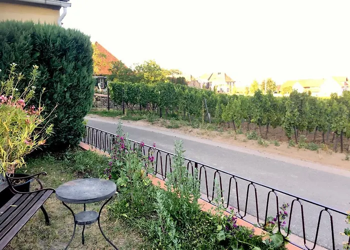 アパート Suedpfalzblick